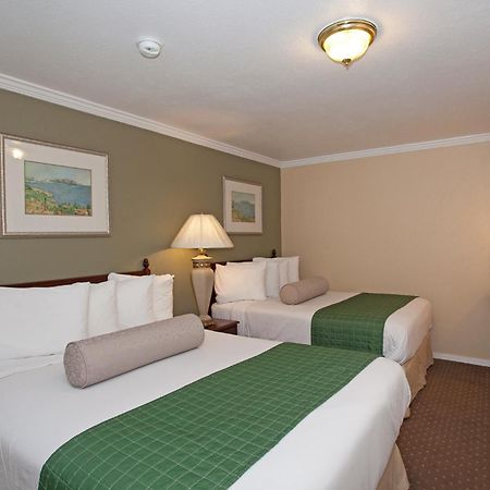 Traveler'S Inn Williams, Ca Modern Renovated Hotel Rom bilde